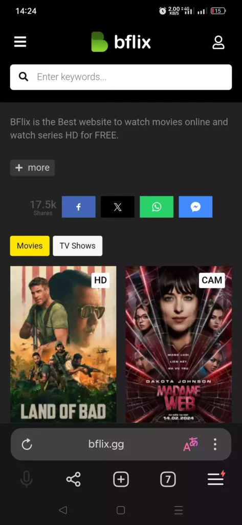 Bflix streaming movie banner
